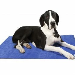 Best Pirce 😉 Scruffs Self-Cooling Mat Blue 🔥