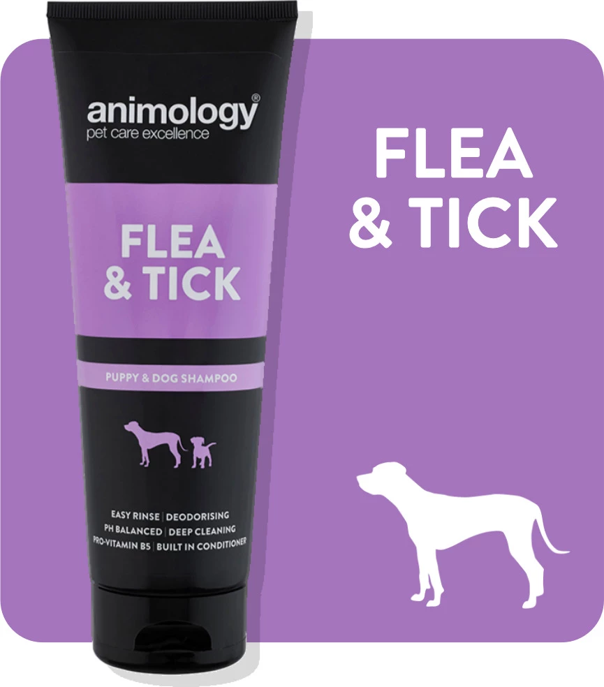 New 🥰 Animology Shampoo Flea & Tick 250ml 🤩 1 New 🥰 Animology Shampoo Flea & Tick 250ml 🤩