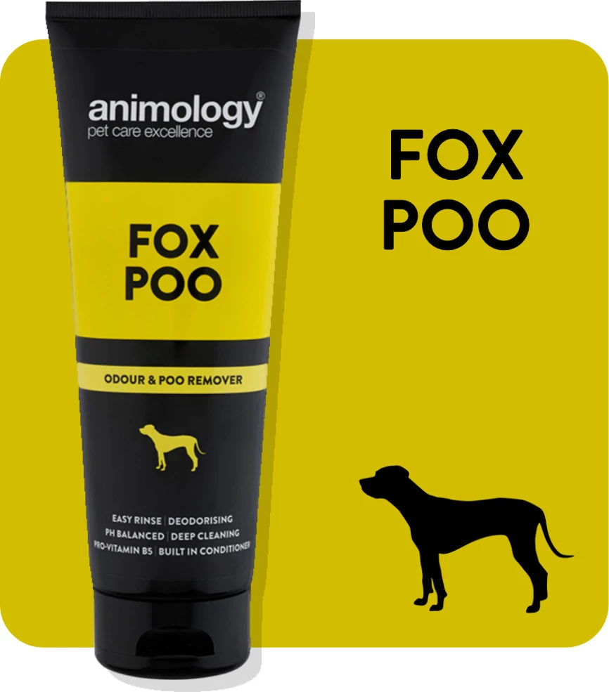 Promo π Animology Shampoo Fox Poo 250ml π― 1 Promo π Animology Shampoo Fox Poo 250ml π―