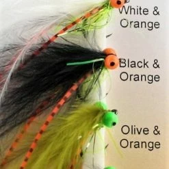 Top 10 ✨ Grando Flies Shimmer Cats 🤩