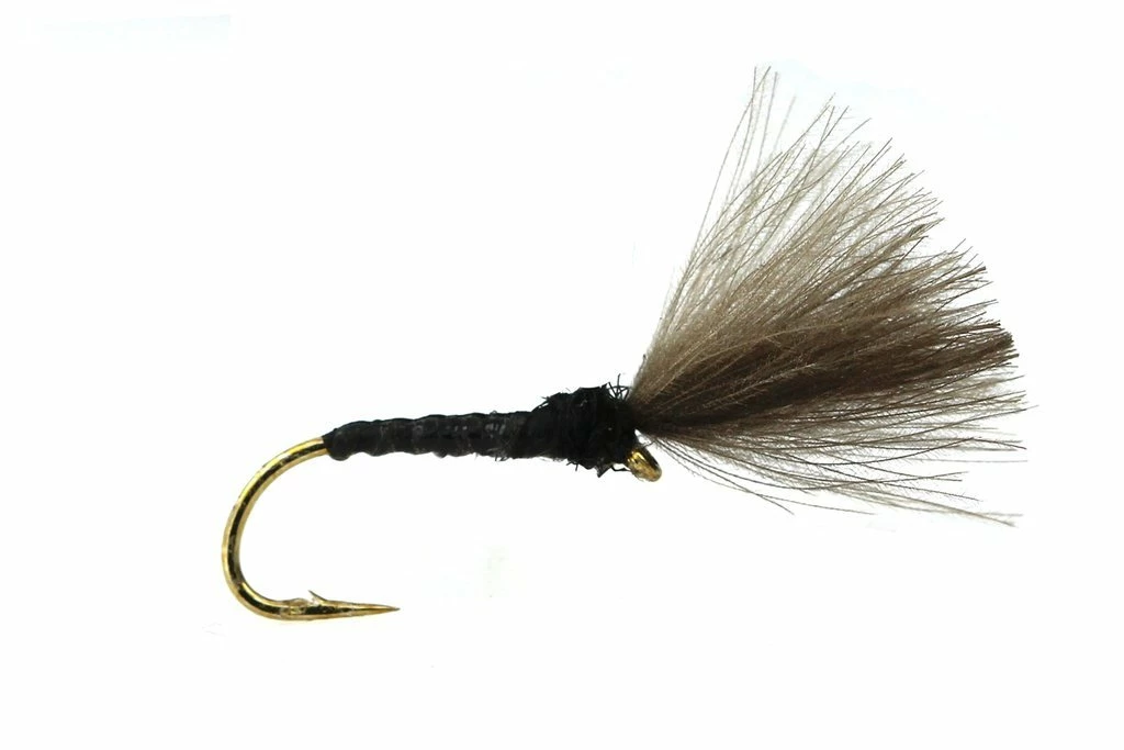 Best Pirce 🔥 Fario Fly Shuttle Cock CDC 🤩 1 Best Pirce 🔥 Fario Fly Shuttle Cock CDC 🤩