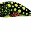 Budget 🤩 Salmo Hornet Crankbait 🎁