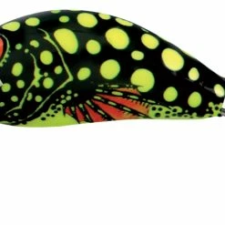 Budget 🤩 Salmo Hornet Crankbait 🎁