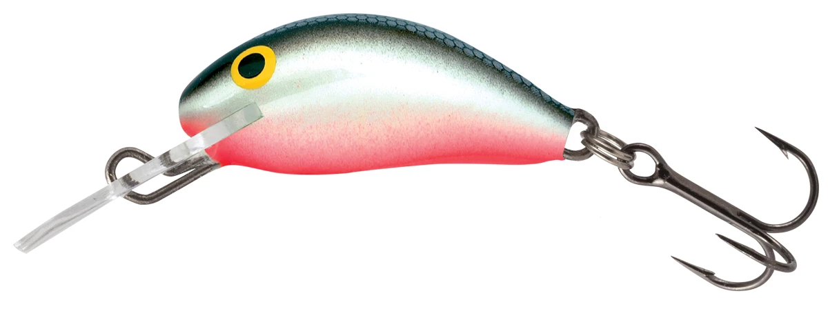 Budget ๐คฉ Salmo Hornet Crankbait ๐ 4 Budget ๐คฉ Salmo Hornet Crankbait ๐ - Image 4