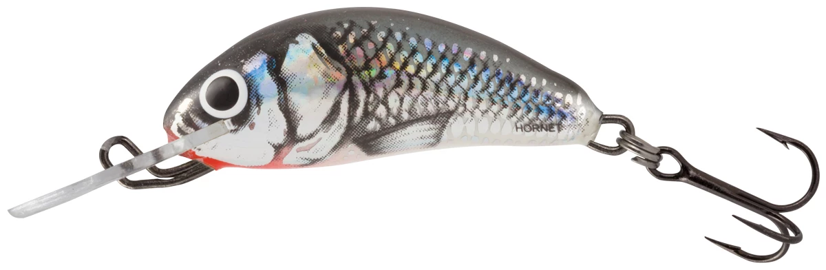 Budget ๐คฉ Salmo Hornet Crankbait ๐ 5 Budget ๐คฉ Salmo Hornet Crankbait ๐ - Image 5
