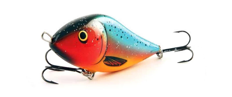 Top 10 π― Salmo Slider Sinking - 5cm π 9 Top 10 π― Salmo Slider Sinking - 5cm π - Image 9