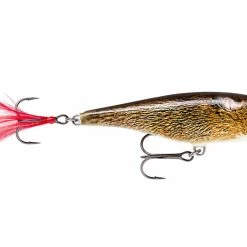 Budget 😍 Rapala Skitter Pop Top Water Lure 🌟 -Glasgow Angling Sales skitter pop live field mouse