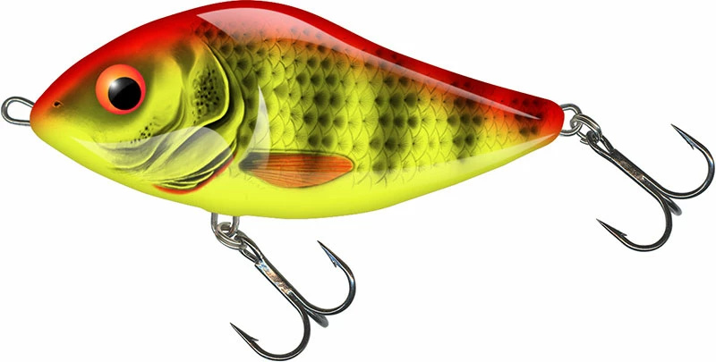 Best reviews of 🥰 Salmo Slider Lures 🧨 4 Best reviews of 🥰 Salmo Slider Lures 🧨 - Image 4