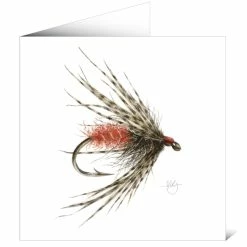 Coupon ❤️ Mayfly Art Soft Hackly Fly Greetings Card ⭐