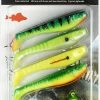 Wholesale ⭐ Fladen Shad Assortment 4pc + 2 Jigheads 🎉