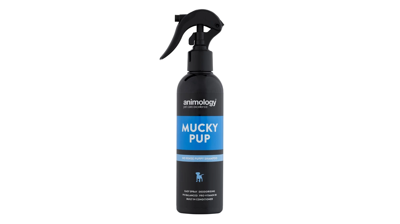 Cheap ✨ Animology Spray Mucky Pup No Rinse Shampoo 250ml 🥰 1 Cheap ✨ Animology Spray Mucky Pup No Rinse Shampoo 250ml 🥰