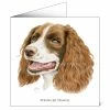 Brand new 🛒 Mayfly Art Springer Spaniel Greetings Card 😉