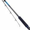 Best reviews of 🔥 Daiwa Super Kenzaki Boat 2pc Fixed Spool Rods 👏