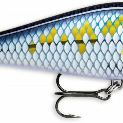 Flash Sale 🎉 Rapala Super Shadow Rap 16cm 77g 👍 34 Flash Sale 🎉 Rapala Super Shadow Rap 16cm 77g 👍 -Glasgow Angling Sales super shadow rap scrb scaled baitfish scaled