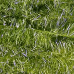 Outlet 😉 Grando Supersoft UV Fritz 💯 -Glasgow Angling Sales supersoft uv fritz olive