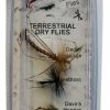 Outlet 😍 Dragon Terrestrial Dry Flies 👍