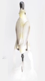 Brand new ✨ Savage Gear The Fruck 3D Hollow Duckling Weedless Lures 🥰 6 Brand new ✨ Savage Gear The Fruck 3D Hollow Duckling Weedless Lures 🥰 - Image 6