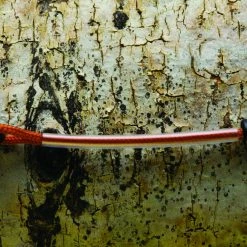 Coupon 😉 Fishpond Tippet Spool Cord 🥰