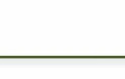 Brand new ⌛ MAD Touchdown Combi Baseline Rig 18cm 1pc 😍