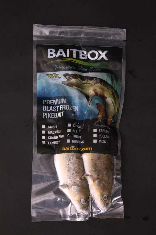 New โ Baitbox Frozen Trout ๐ฅ 3 New โ Baitbox Frozen Trout ๐ฅ - Image 3