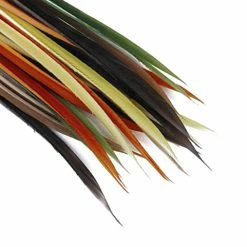 Top 10 ⭐ Veniard Turkey Biots 😀