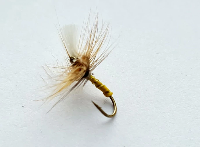 Coupon 👍 Stillwater Upright Olive Emerger Size 12 - 1 Dozen 🤩 1 Coupon 👍 Stillwater Upright Olive Emerger Size 12 - 1 Dozen 🤩