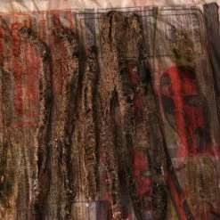 Best deal 🤩 Baitbox Welsh Black Lug x 10 🥰