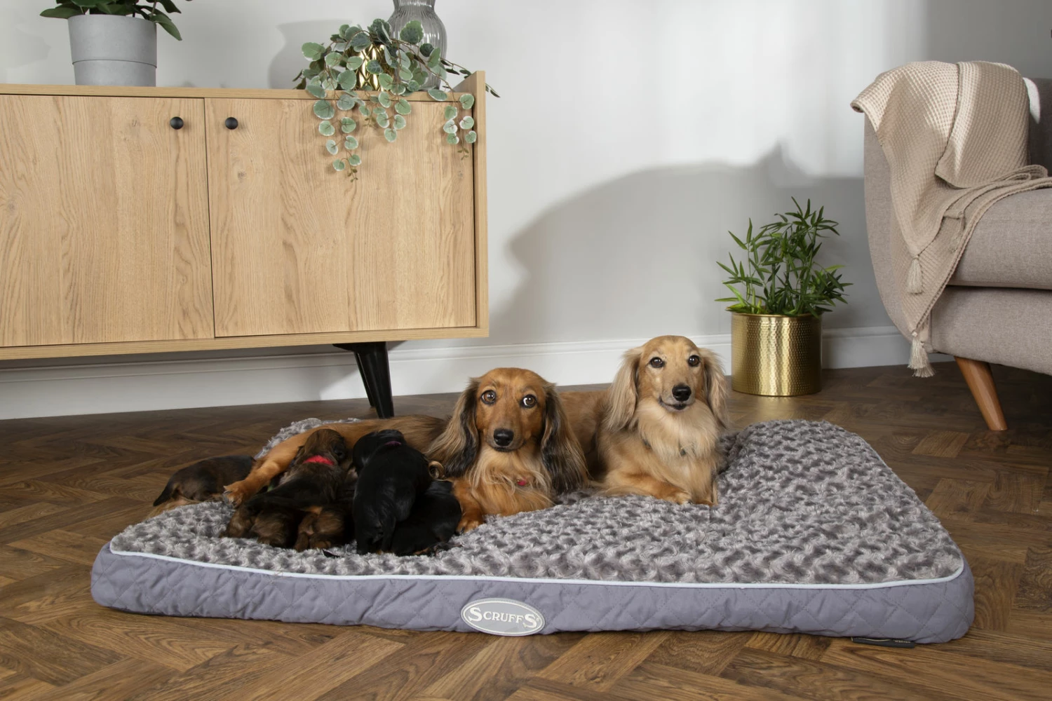 Flash Sale π Scruffs Wilton Mattress 100x70x8cm Grey π― 2 Flash Sale π Scruffs Wilton Mattress 100x70x8cm Grey π― - Image 2