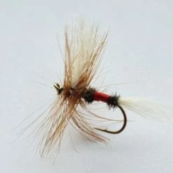 Discount 🥰 Stillwater Wulff Royal Special Dry - 1 Dozen ❤️