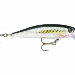Budget 😉 Rapala X-Rap Countdown 🤩