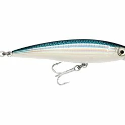 Top 10 🔔 Rapala X-Rap Saltwater 😉 -Glasgow Angling Sales x rap saltwater baitfish bfh