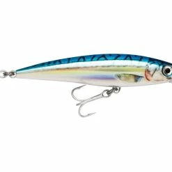 Top 10 🔔 Rapala X-Rap Saltwater 😉 -Glasgow Angling Sales x rap saltwater blue mackerel rbm