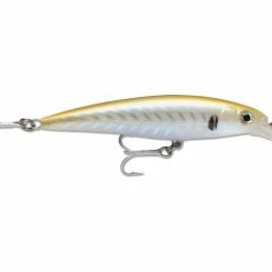 Top 10 🔔 Rapala X-Rap Saltwater 😉 -Glasgow Angling Sales x rap saltwater gold scad gosc