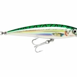 Top 10 🔔 Rapala X-Rap Saltwater 😉 -Glasgow Angling Sales x rap saltwater green mackerel rgm