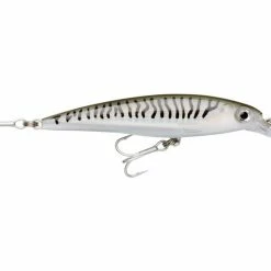 Top 10 🔔 Rapala X-Rap Saltwater 😉 -Glasgow Angling Sales x rap saltwater grey mackerel grm