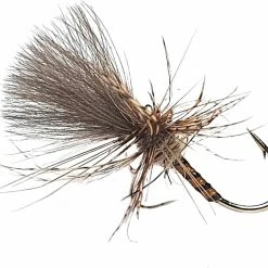 Budget ⌛ Fario Fly Yellow Owl Grunter 🔥